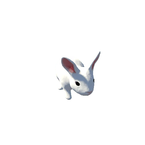 Demo White Rabbit